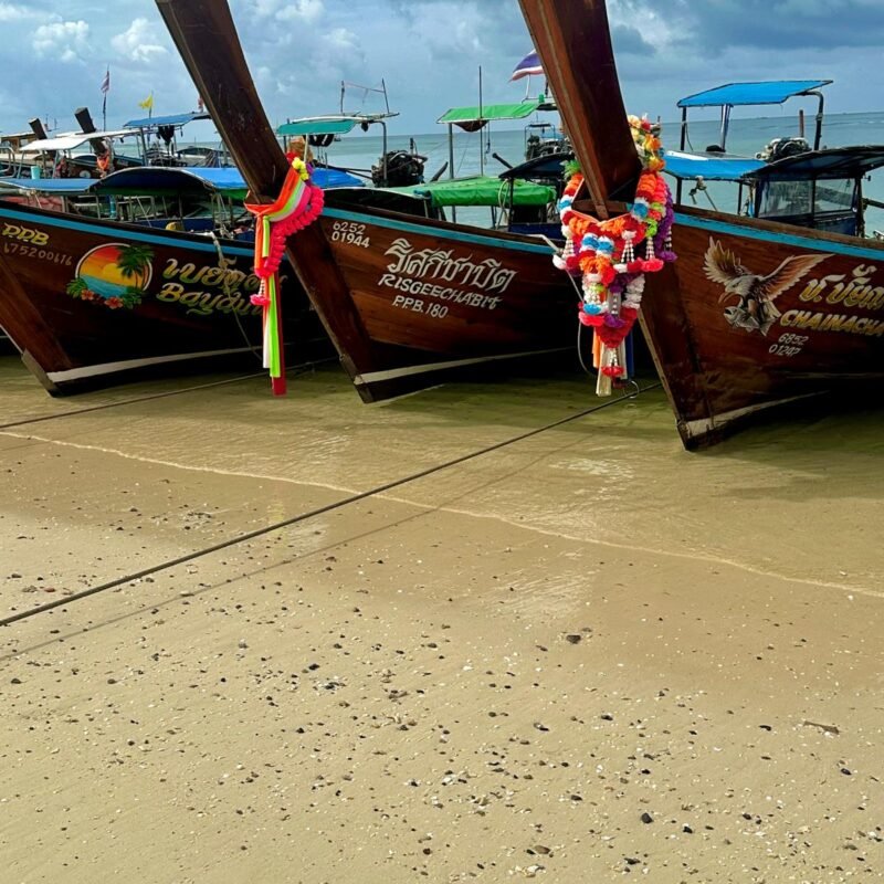 WhatsApp Image 2026-02-12 at 00.47.42