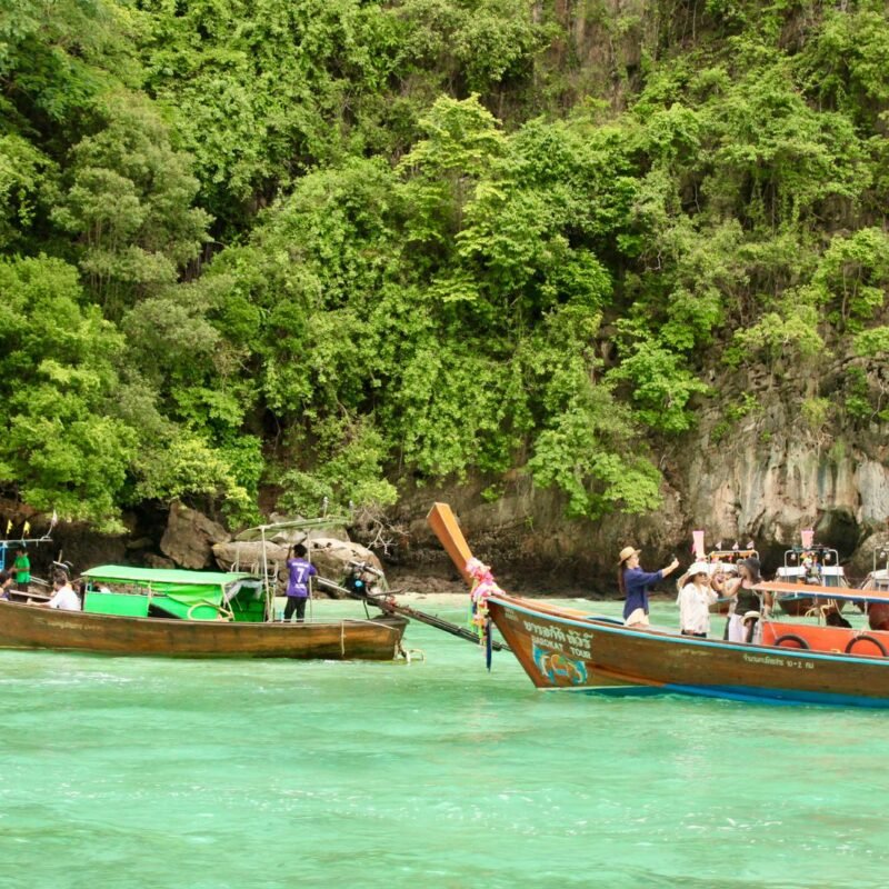 WhatsApp Image 2026-02-12 at 00.50.52