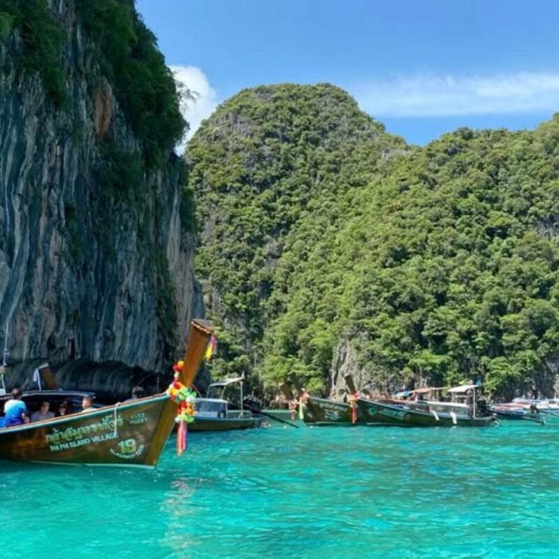 WhatsApp Image 2026-02-12 at 00.51.32