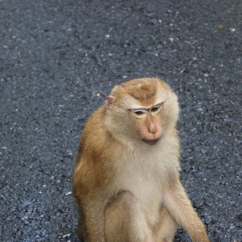 WhatsApp Image 2026-02-12 at 00.53.55